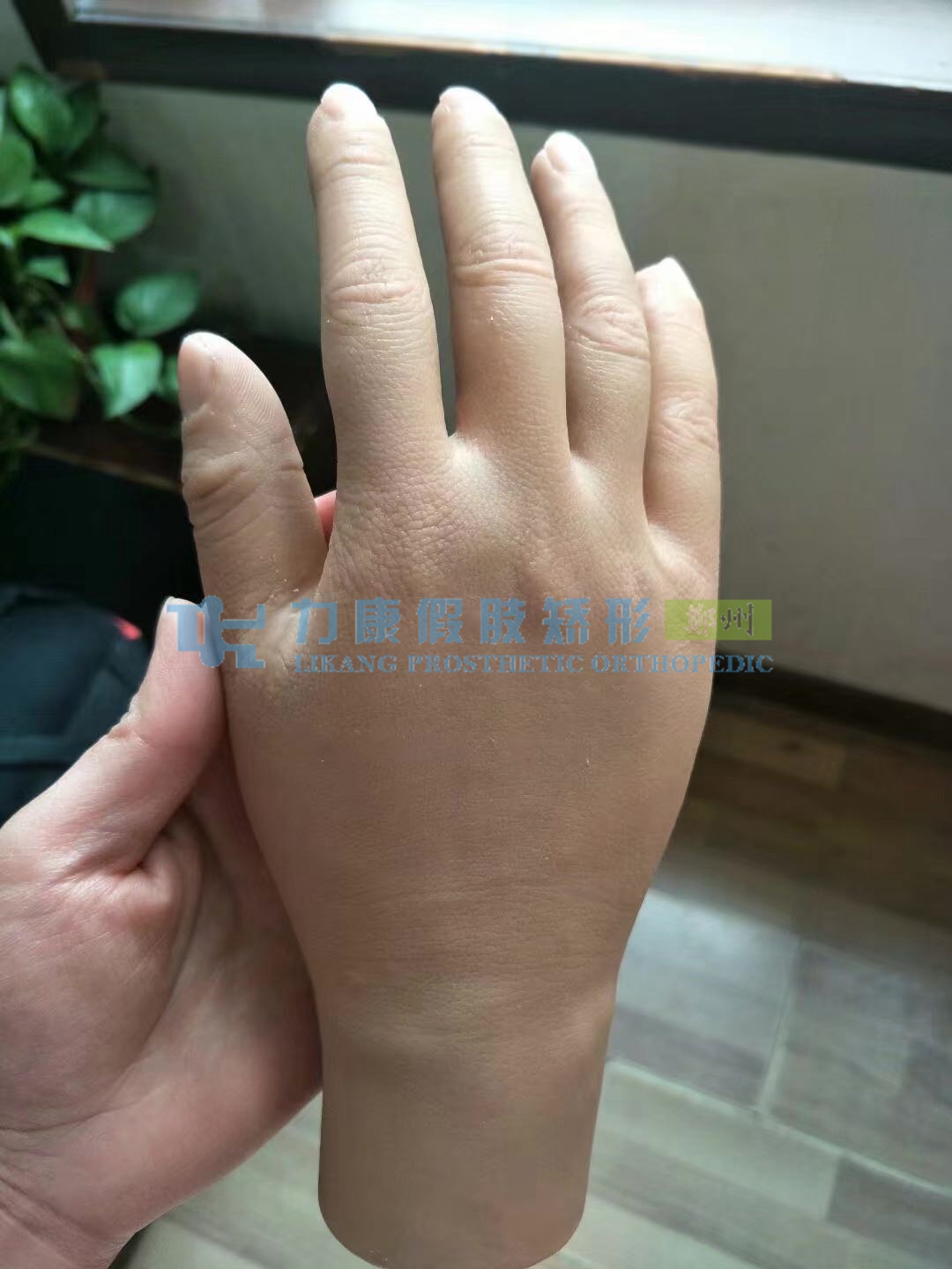 美容假肢手報(bào)價